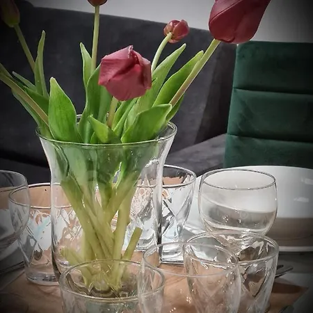 Apartment Nad Klifem W Dziwnowku