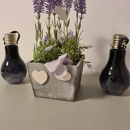 Nad Klifem W Dziwnowku * Dziwnówek